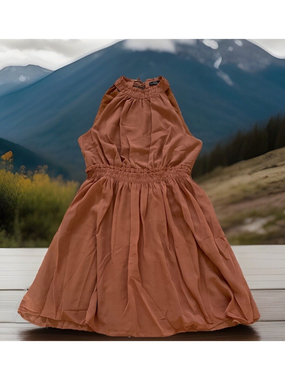Wishlist Apparel Womens Chiffon Mini Dress ~ Size Medium Color: Cinnamon